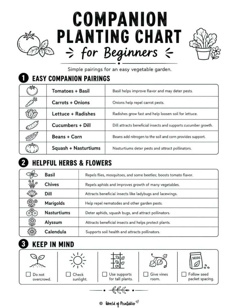 Companion Planting Chart for Beginners