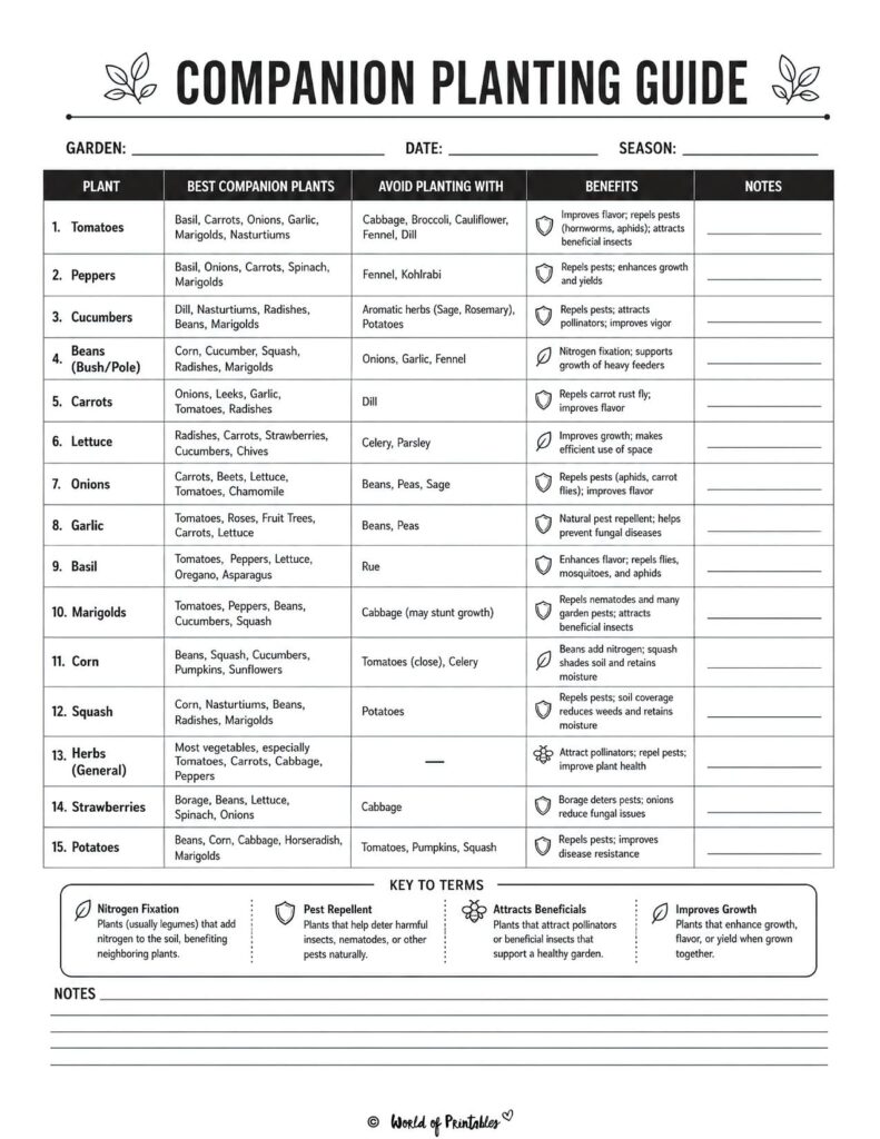 Companion Planting Guide