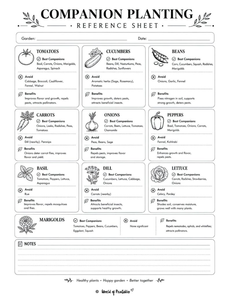 Companion Planting Reference Sheet