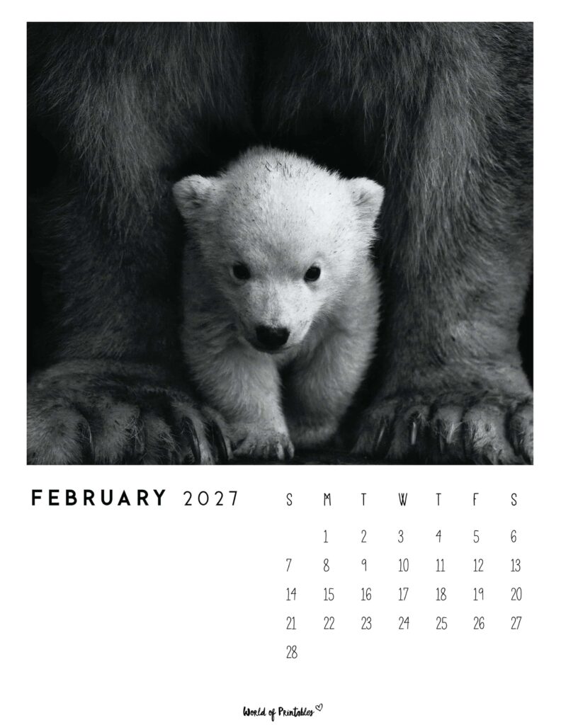 Printable February 2027 Calendar Design 56