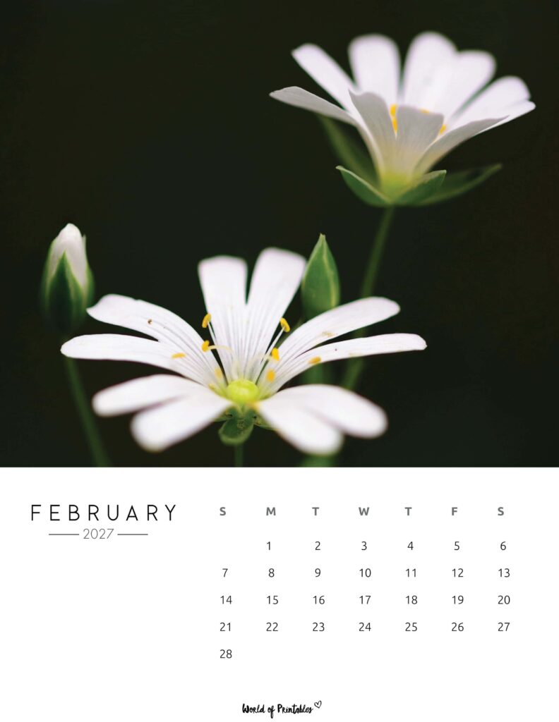 Printable February 2027 Calendar Design 57