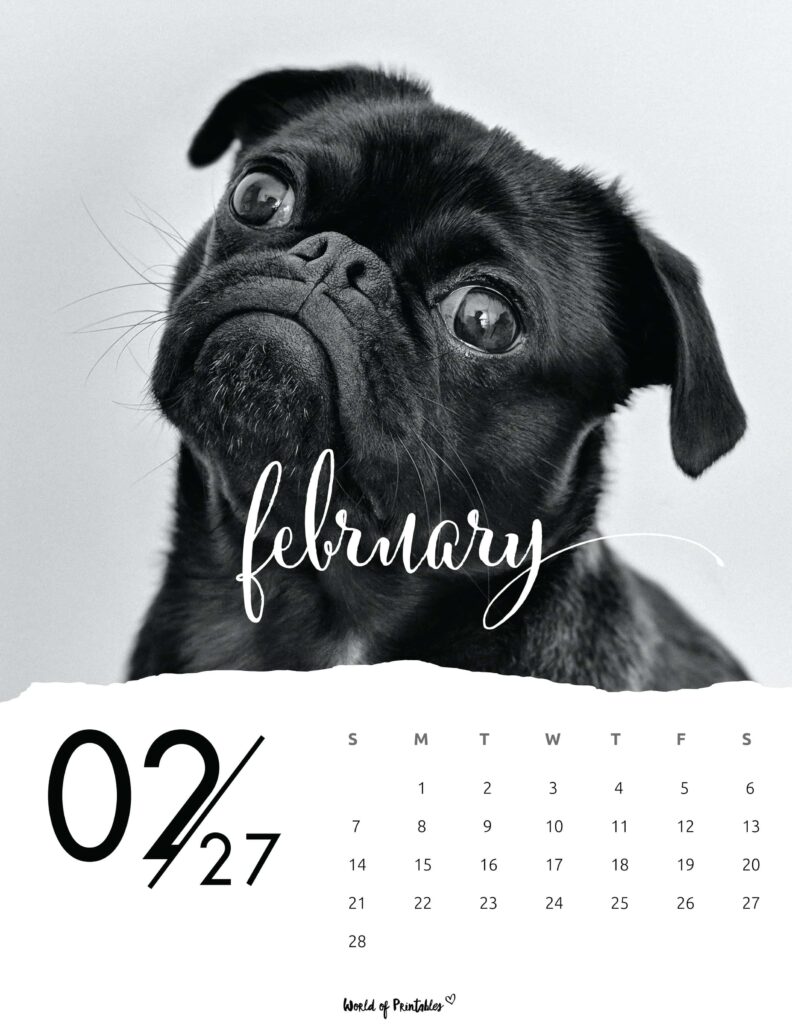 Printable February 2027 Calendar Design 59