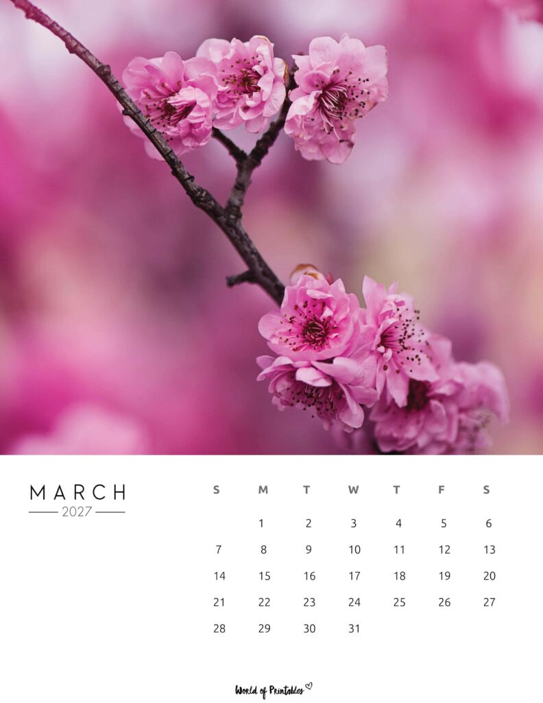 Printable March 2027 Calendar Design 57
