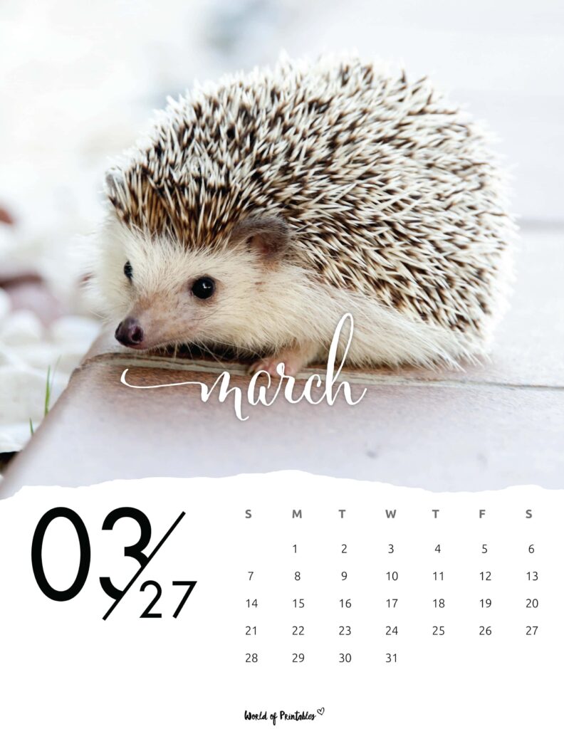 Printable March 2027 Calendar Design 59