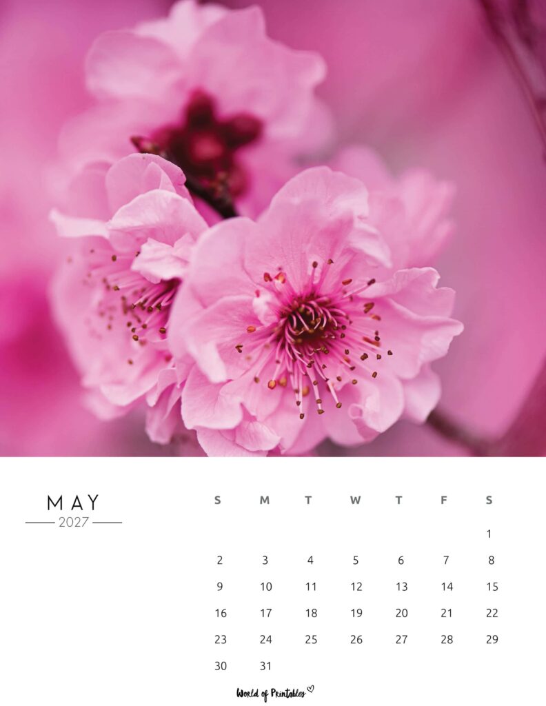 Printable May 2027 Calendar Design 57