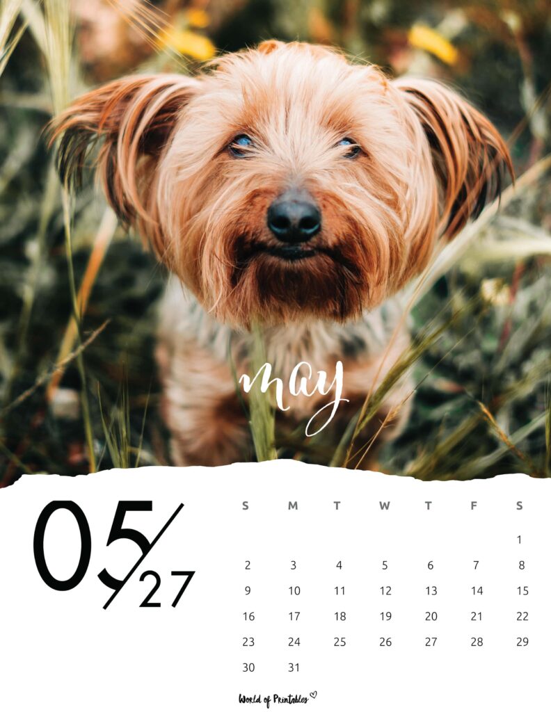 Printable May 2027 Calendar Design 59