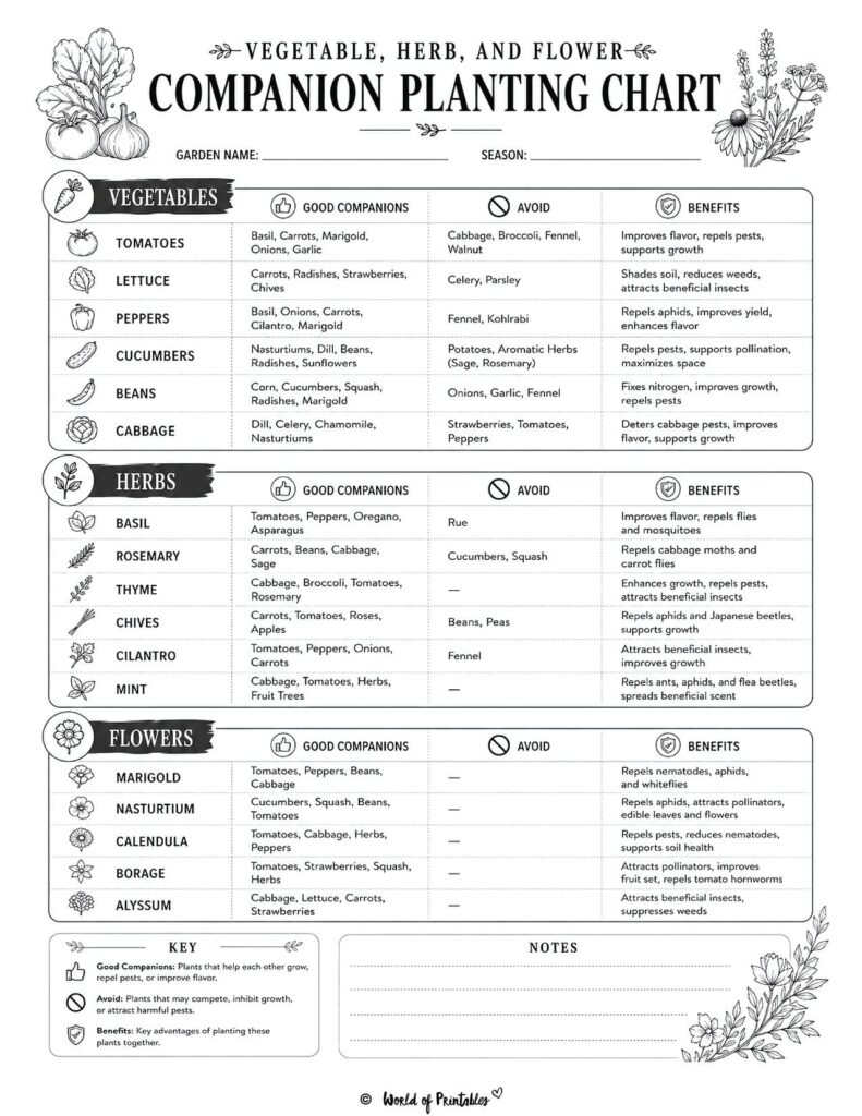Vegetable, Herb, and Flower Companion Planting Chart