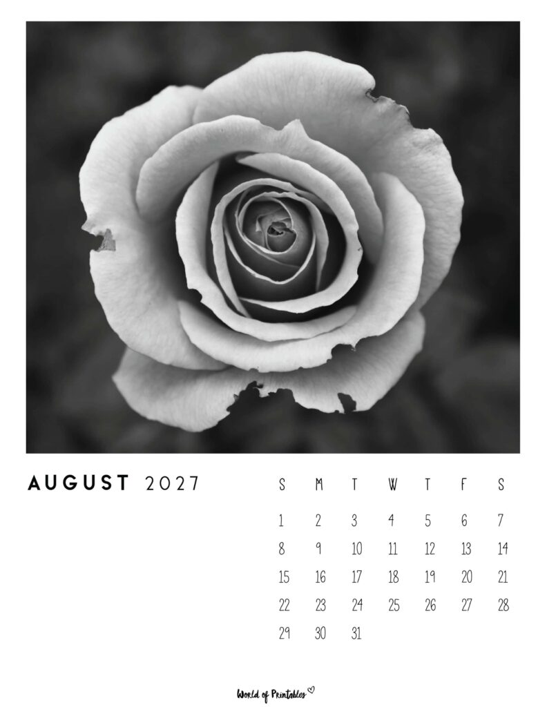 Printable August 2027 Calendar Design 56