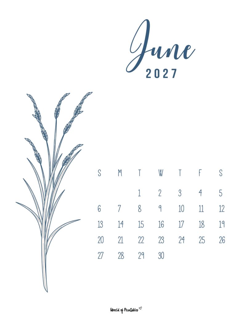 Printable June 2027 Calendar Design 14