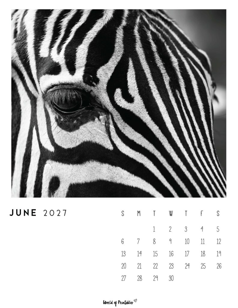 Printable June 2027 Calendar Design 56