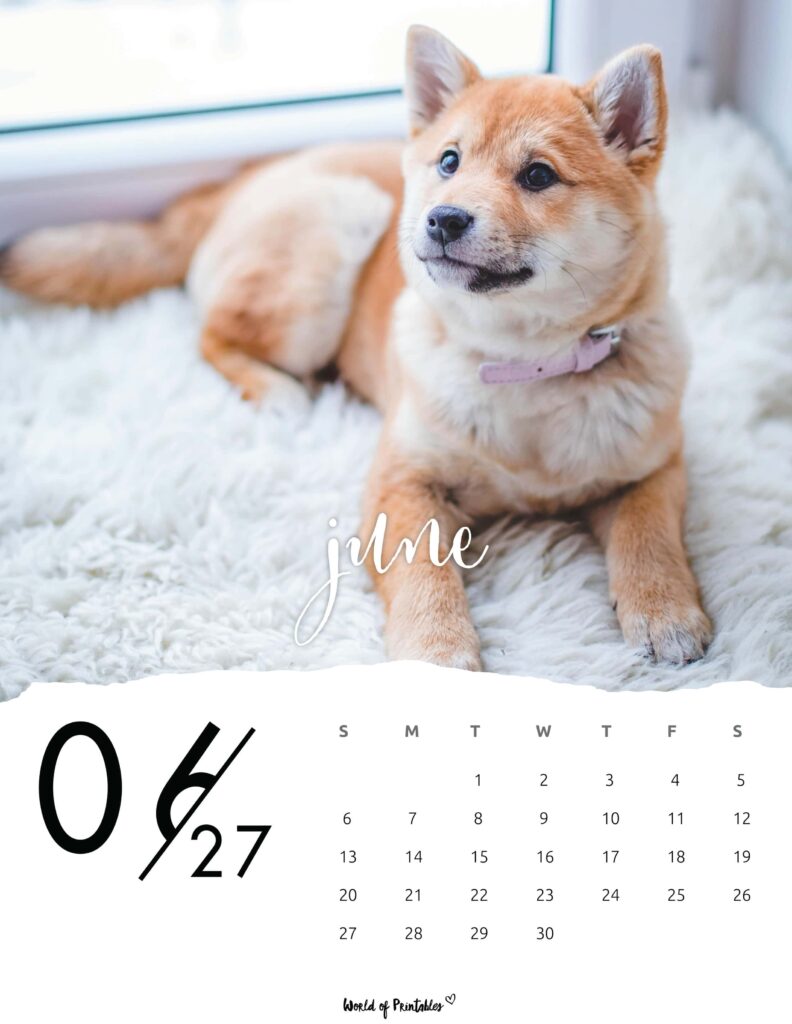 Printable June 2027 Calendar Design 59